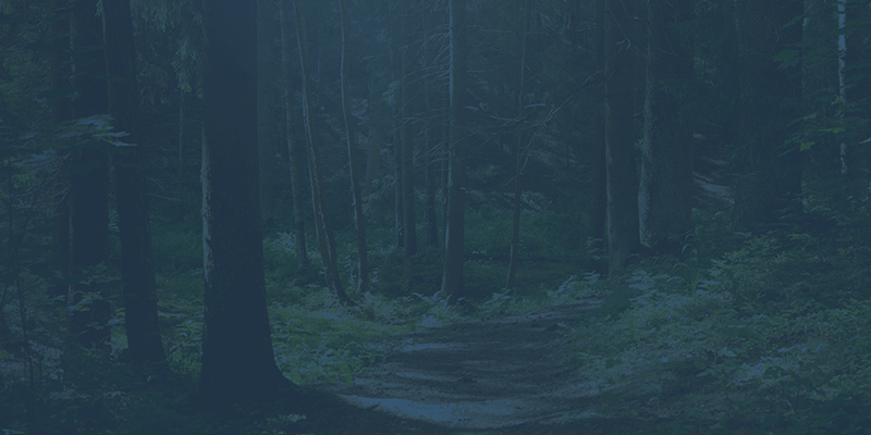 4jtzUDoZ6x Pacific Crest Trail Detox